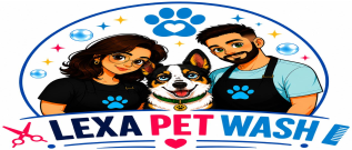 Logo CardWash